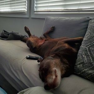 Meet your Posher, Bonner